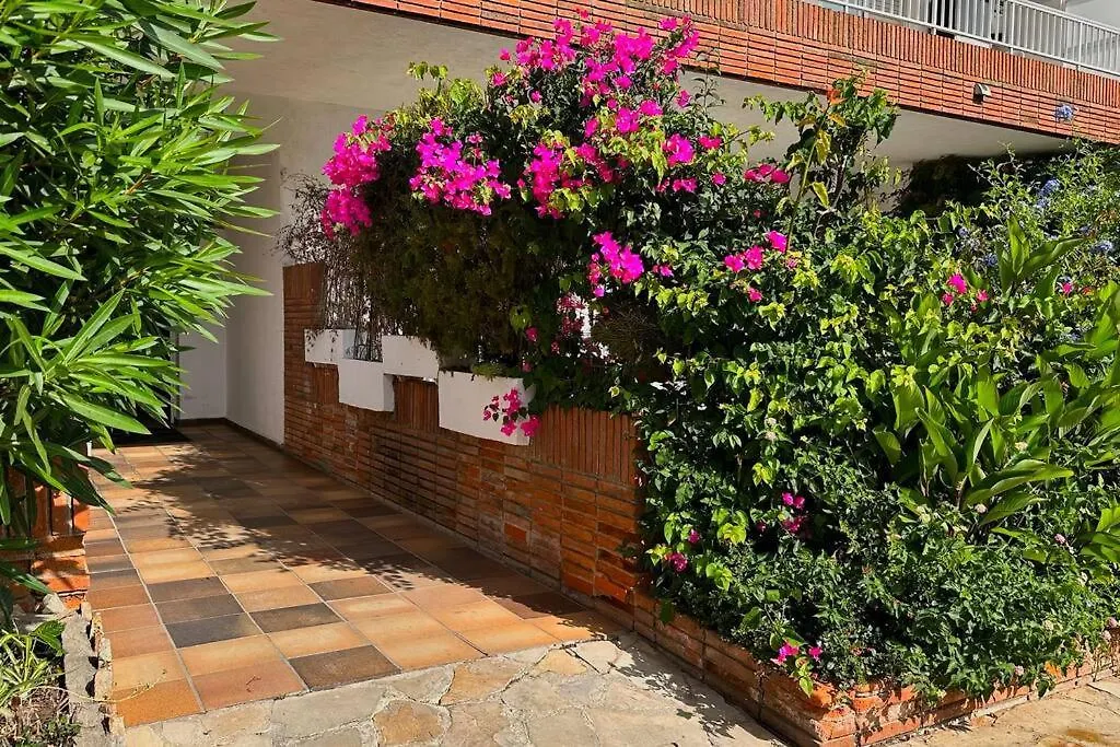 Apartamento Apartamento Acogedor , Blanes 0*,  España